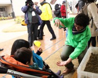 高潮と液状化の実験